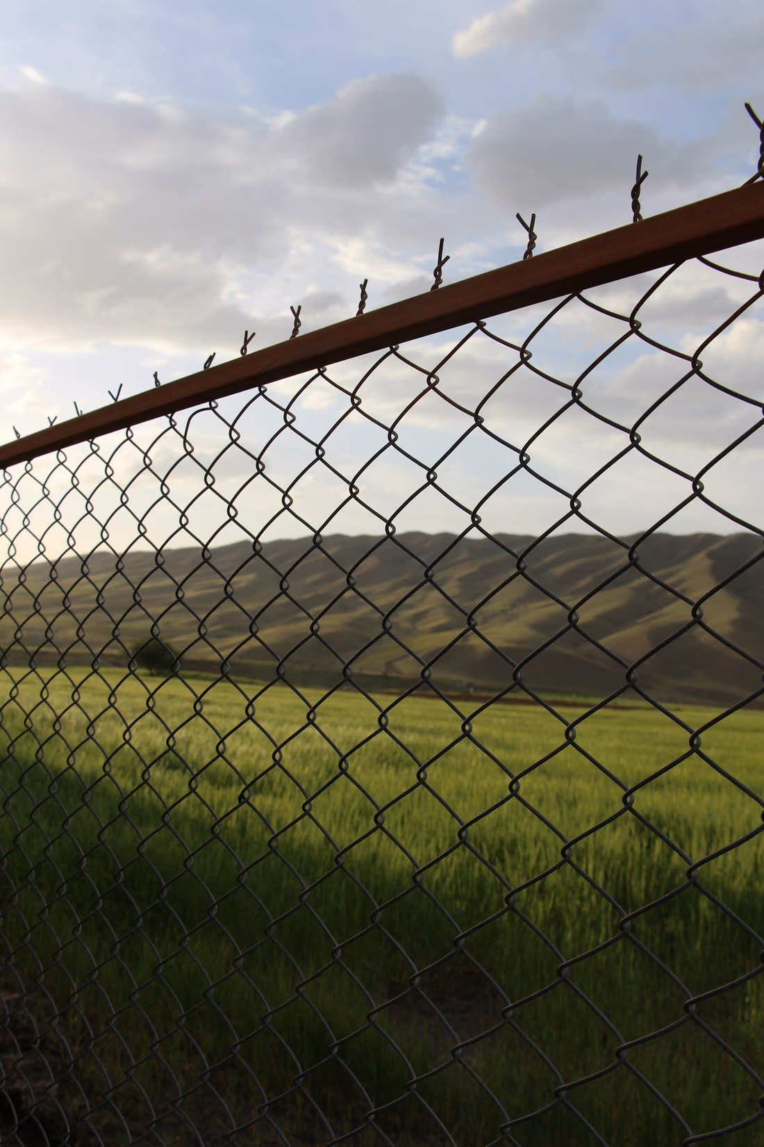 Close view of a chain link fence showing the top rail with tie wires twisted over it to secure the mesh